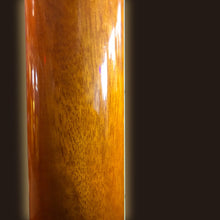 Load image into Gallery viewer, Washburn EA15 ATB-A Acoustic/electric guitar