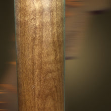 Load image into Gallery viewer, Squier Contemporary Stratocaster Special