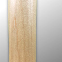 Load image into Gallery viewer, Nashville Guitar Works NGW120RD T-style Guitar