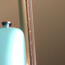 Load image into Gallery viewer, Nashville Guitar Works NGW220DB Jazz Bass