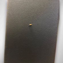 Load image into Gallery viewer, Fender Musicmaster Bass 12-Watt 1x12" Bass Combo