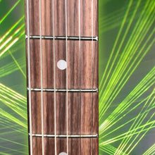 Load image into Gallery viewer, Aria Pro II Jet B-Tone Baritone electric guitar--black