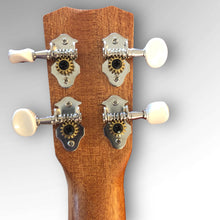 Load image into Gallery viewer, Cordoba Protégé U1MS UkulelE
