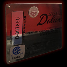 Load image into Gallery viewer, Fender Blues Deluxe &quot;White Lightning&quot; Limited Edition Tube Amplifier
