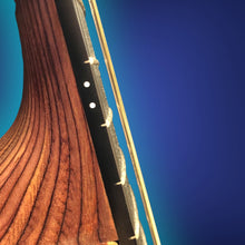 Load image into Gallery viewer, Martin D12-X1 Acoustic Guitar
