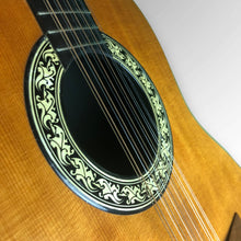 Load image into Gallery viewer, Ovation 1115 Pacemaker 12-String Early '70s USA w/ Original Case
