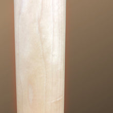 Load image into Gallery viewer, Nashville Guitar Works NGW220DB Jazz Bass

