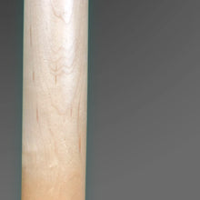 Load image into Gallery viewer, Austin Telecaster--Beginner‑Friendly Tele‑Style Solid Body – Low Action, Classic Voice
