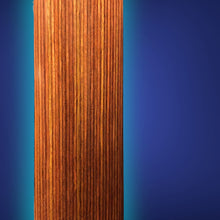 Load image into Gallery viewer, Martin D12-X1 Acoustic Guitar
