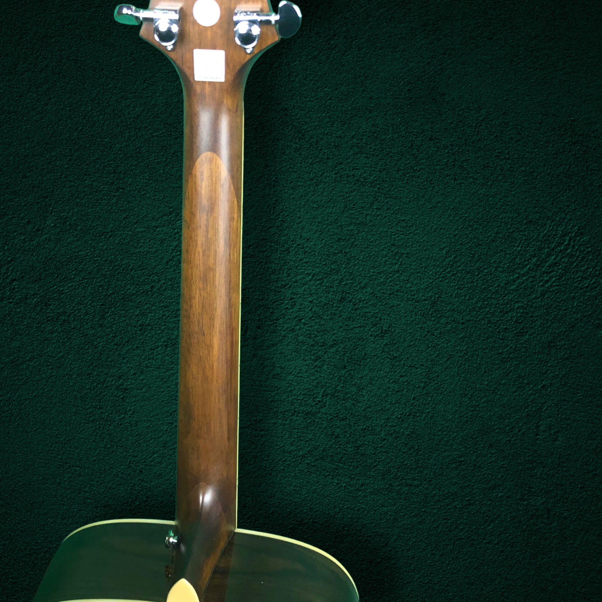 Greg Bennett D5SRN Pro Acoustic – Player's Gear