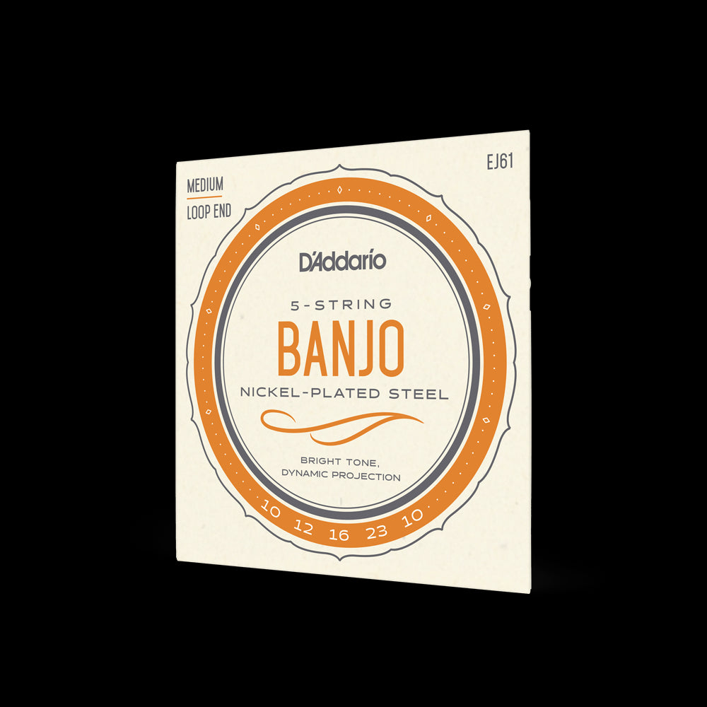 D'Addario Banjo Strings--nickel-plated steel medium loop end